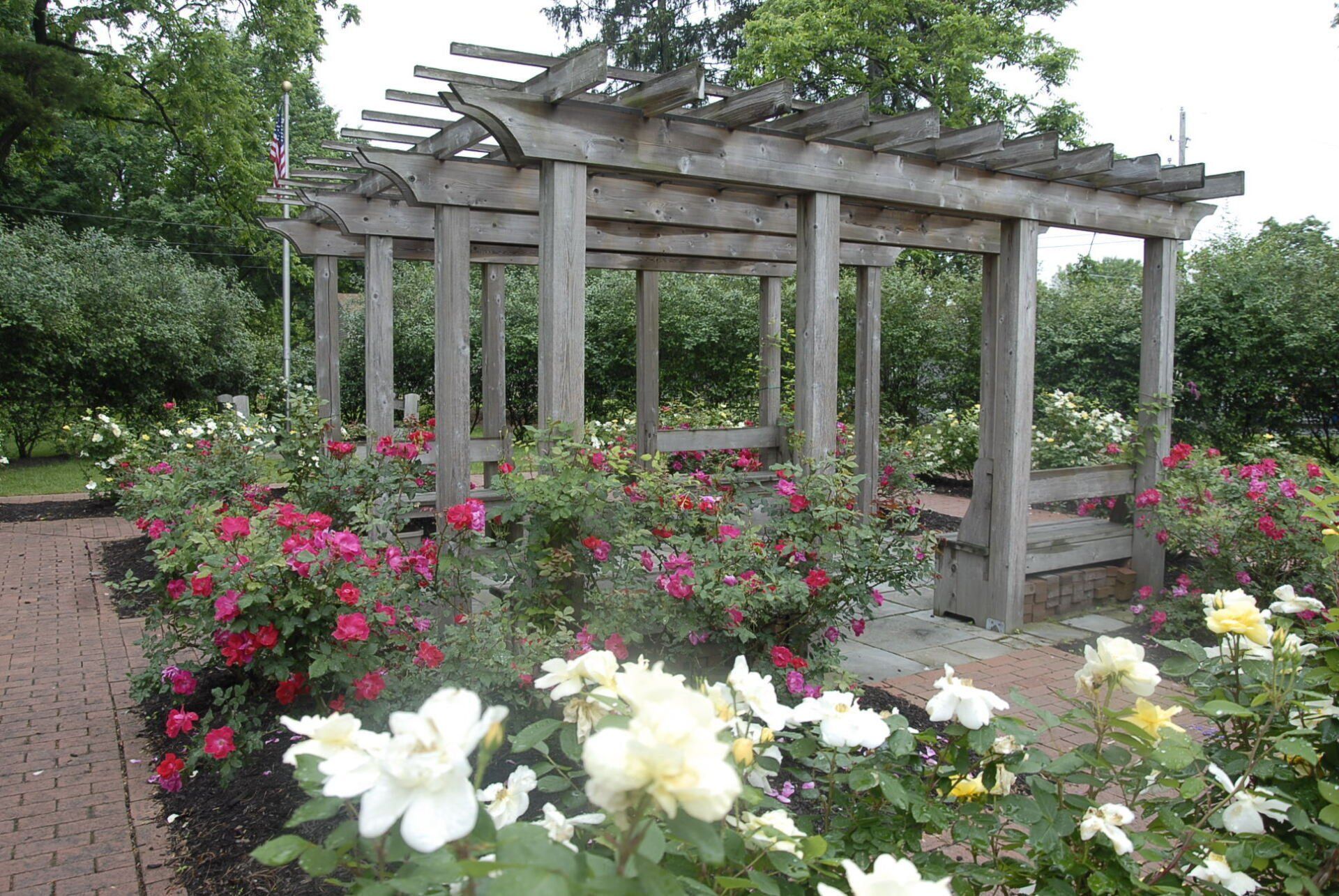A wooden pergola sits in a rose garden with blooming pink and white flowers and a brick path on a cloudy day.