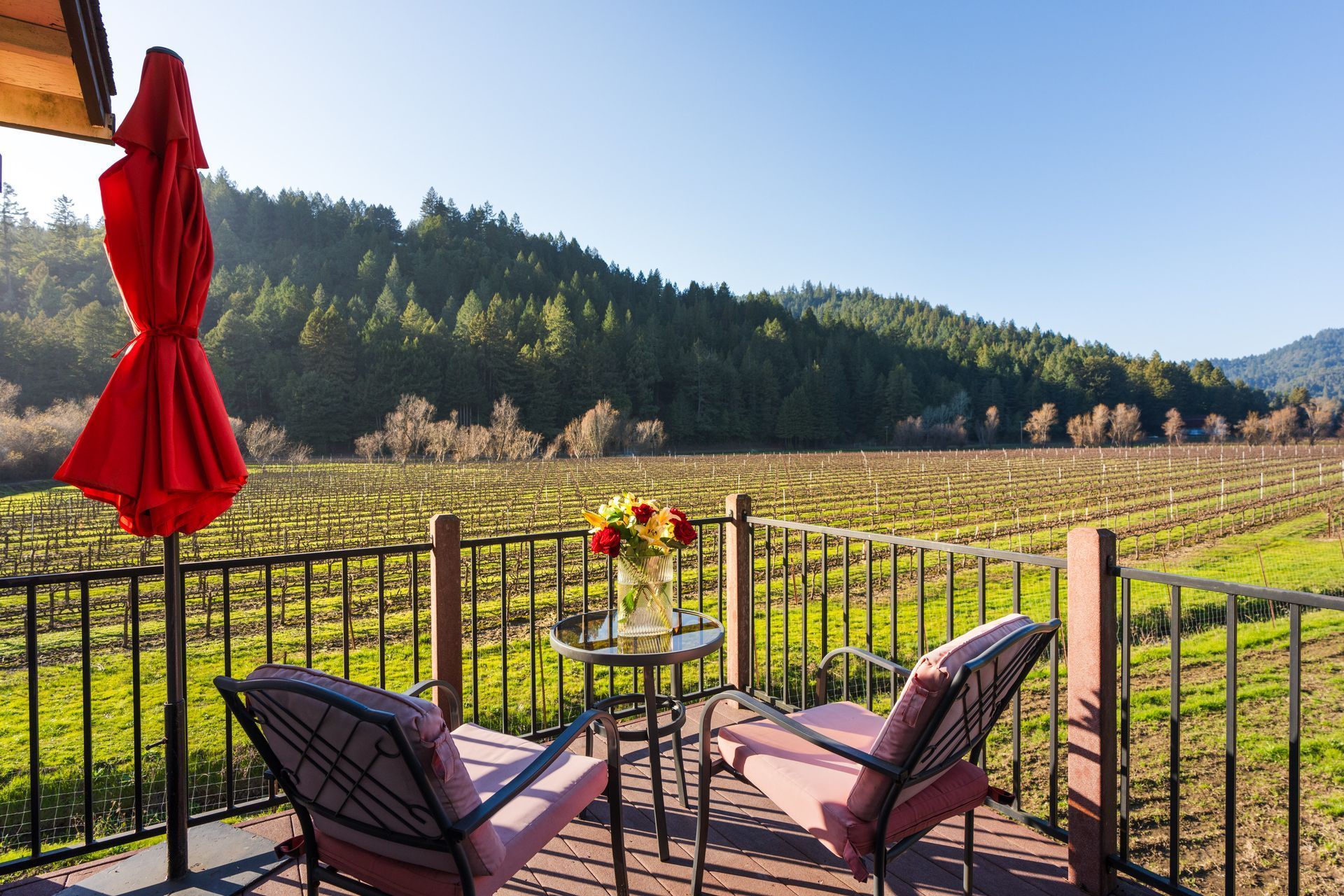 Guerneville Vineyard View Room Patio
\