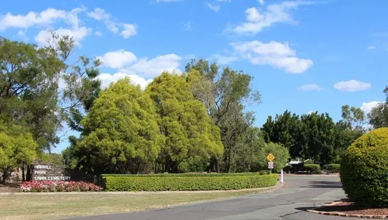 A road surrounded by trees and bushes on a sunny day