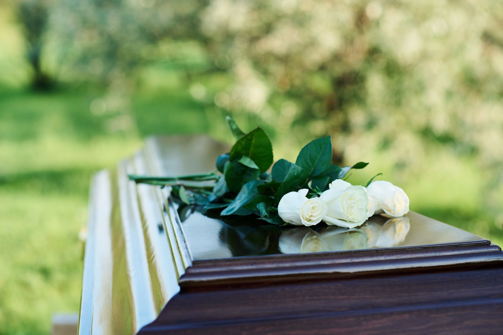 A coffin with white flowers and green leaves on it.