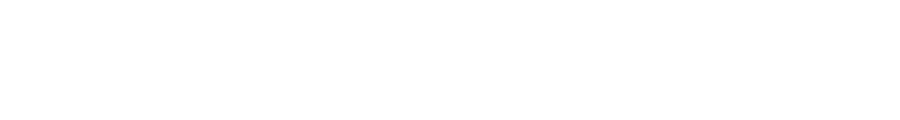 Two thin black horizontal lines near the top and bottom on a white background