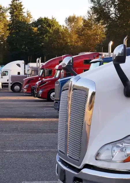 Semi trucks parked in a row, with white and red cabs lined up outdoors near trees at sunset.