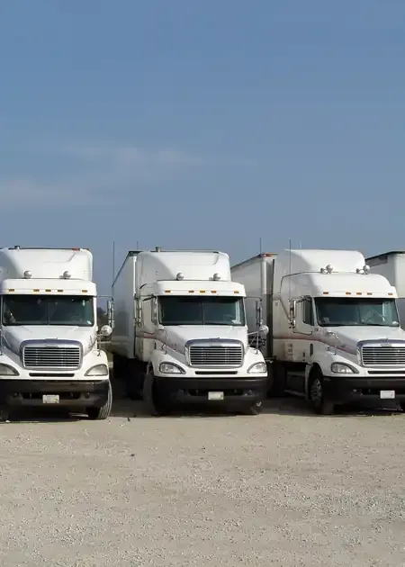 Three white semi-trucks parked side by side on a gravel lot under a clear blue sky