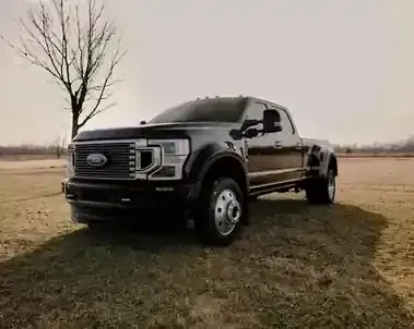 Black Ford pickup truck parked on grassy ground beside a leafless tree in an open field.