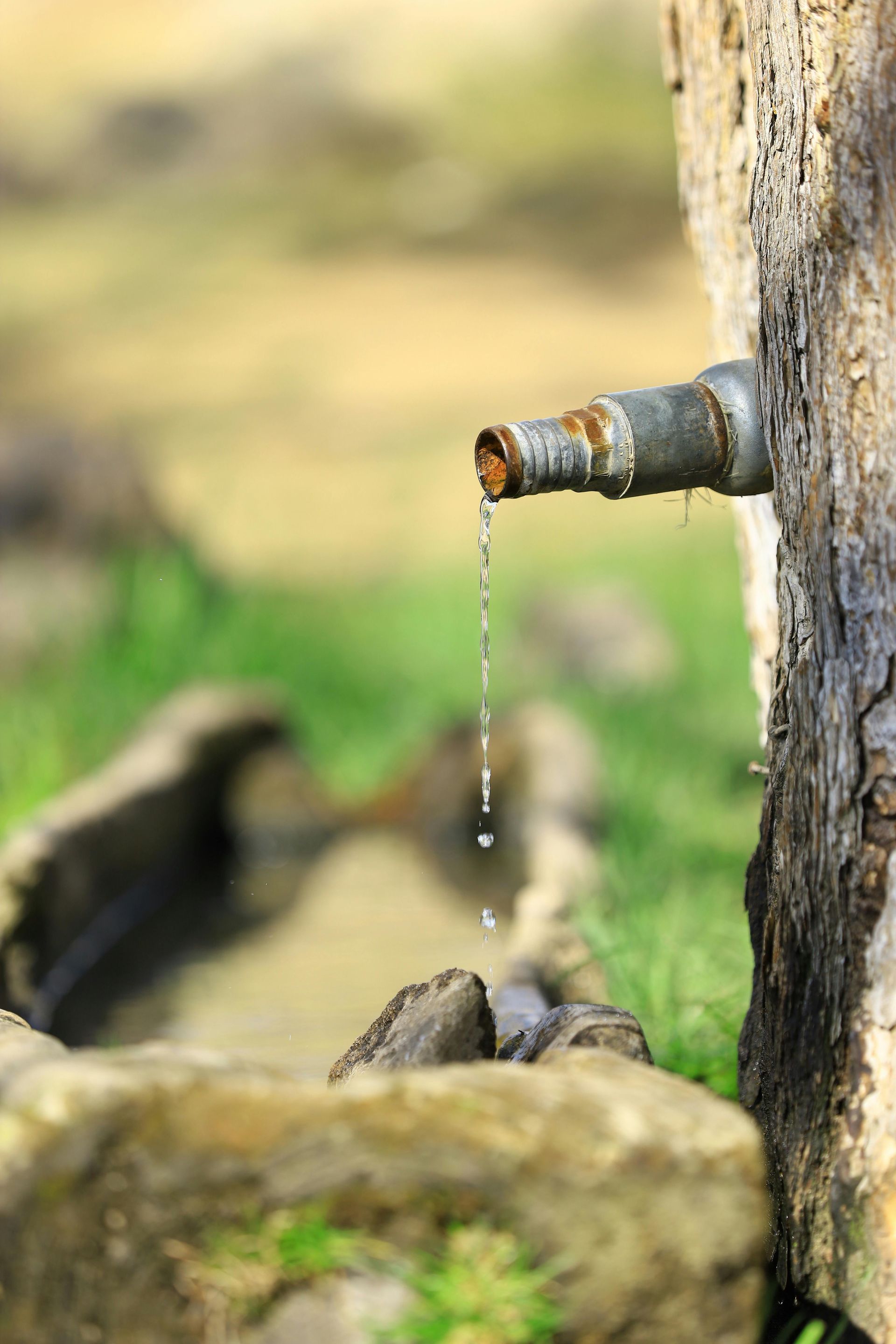 How to choose the best local water damage restoration company.