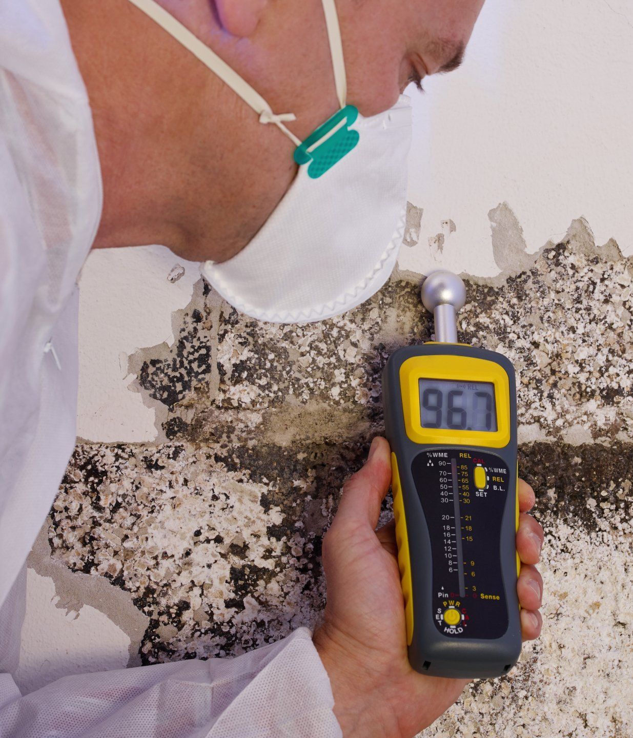 Mold Detector