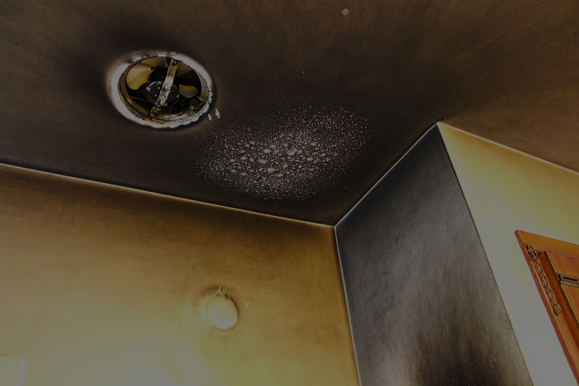 Cause and Effect of Fire Damage