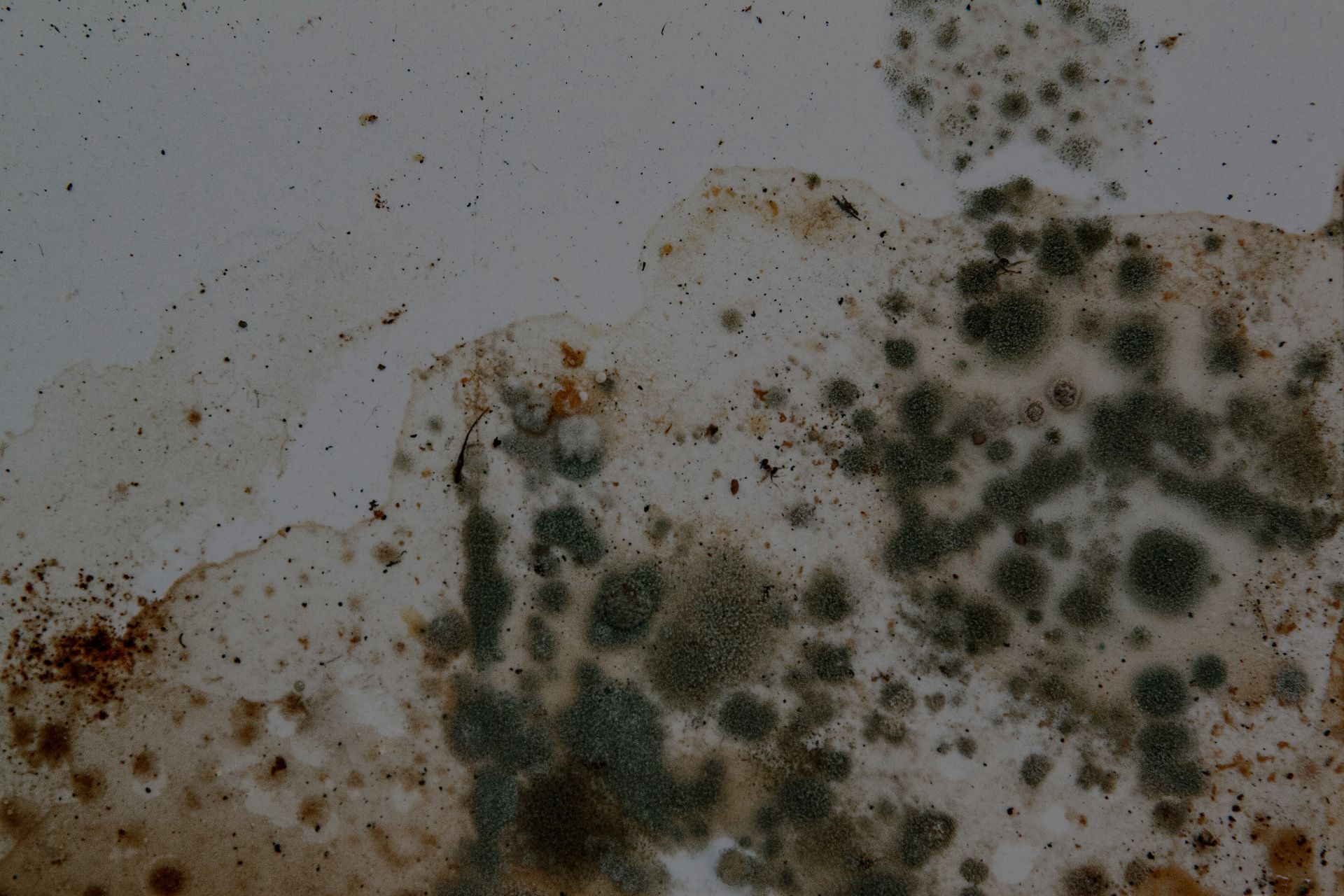 Cause and Effect of Fire Damage