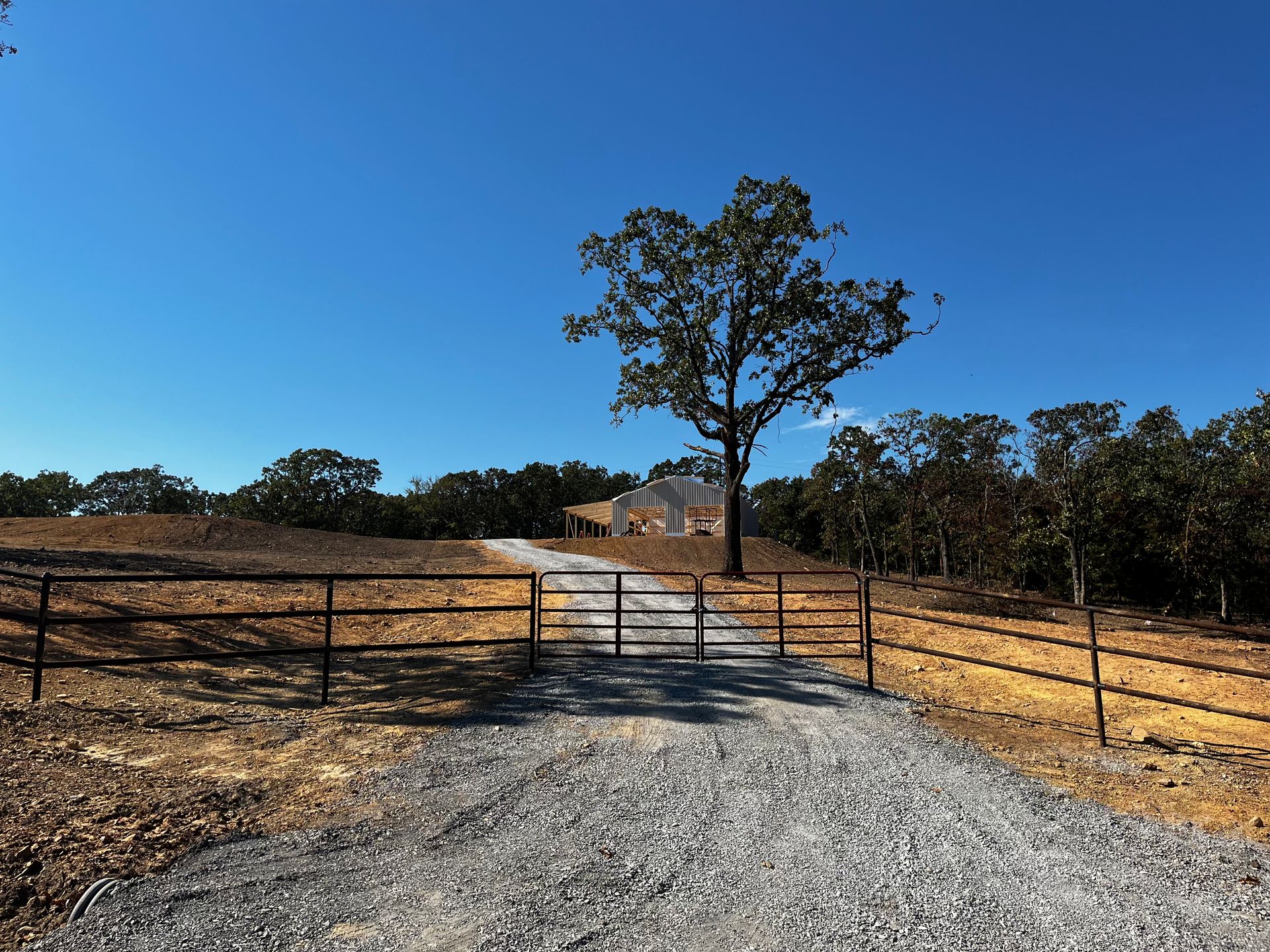 Gravel driveway through a black fence toward a lone tree in a dry, open field under a clear blue sky