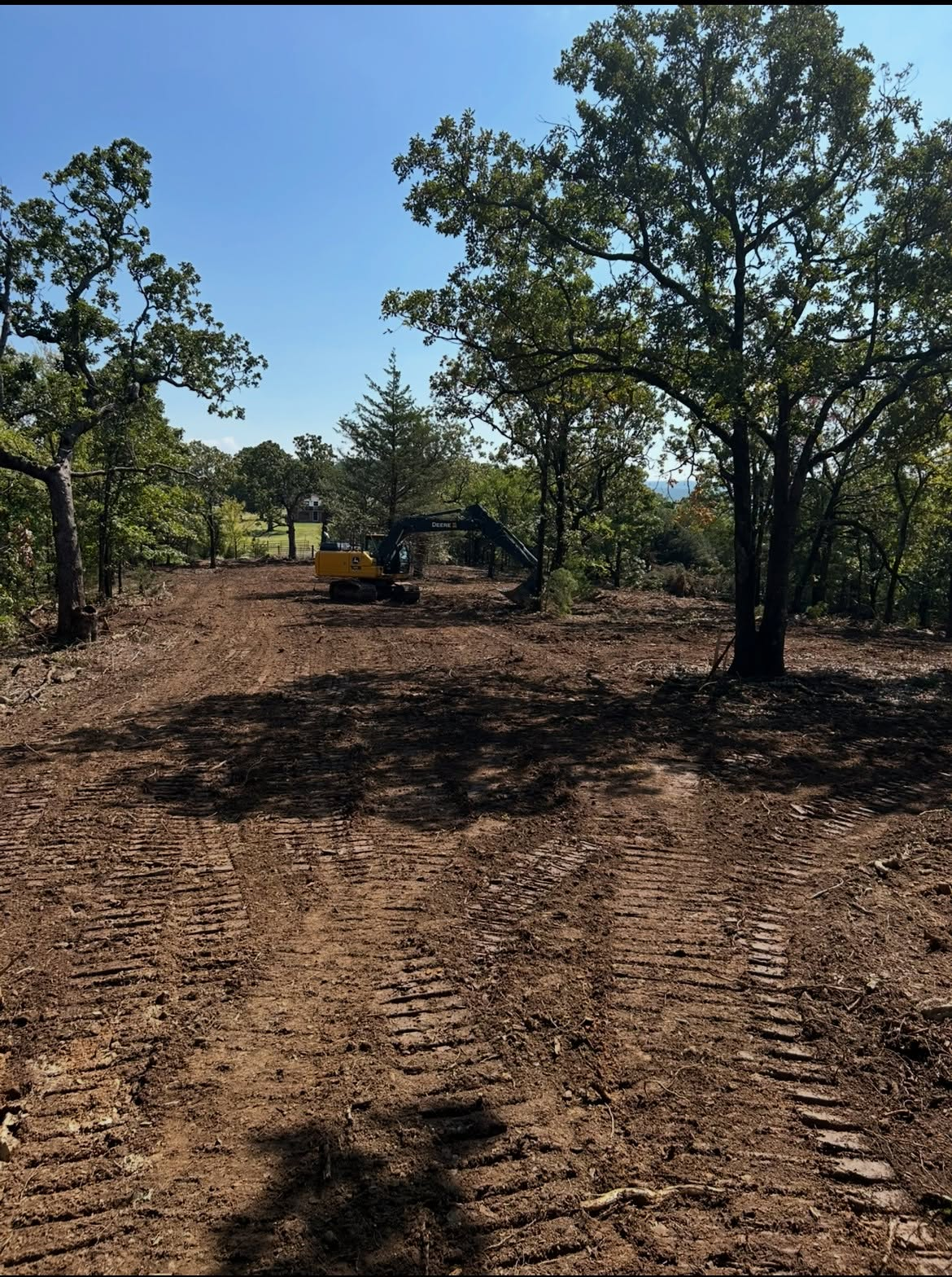 Dirt path through sparse trees with a small excavator in the distance under a clear blue sky