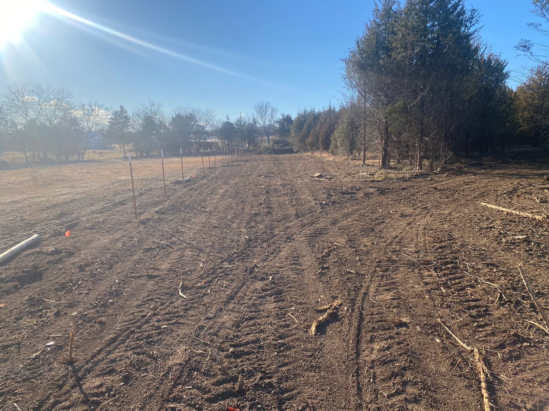 Dry dirt road through a sparse wooded area under bright sunlight and a clear blue sky.