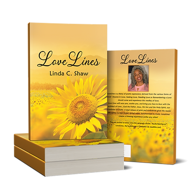 Book cover for