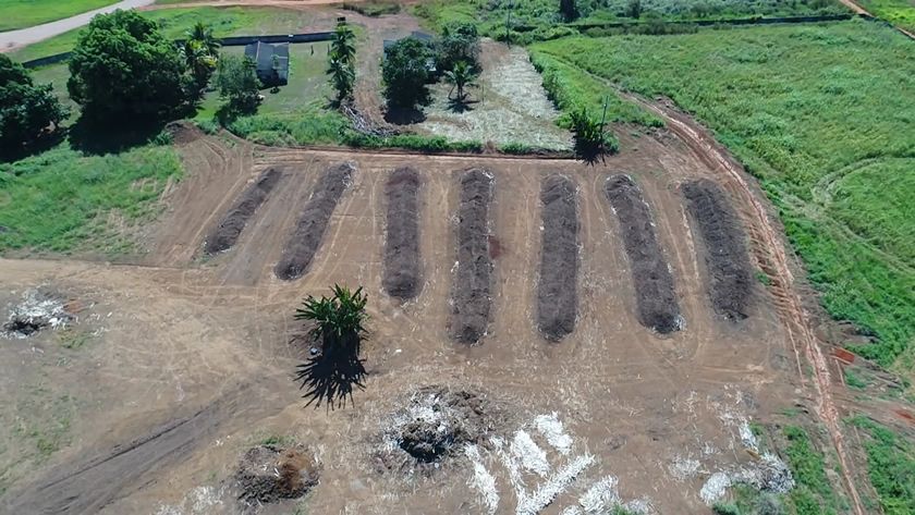 compost