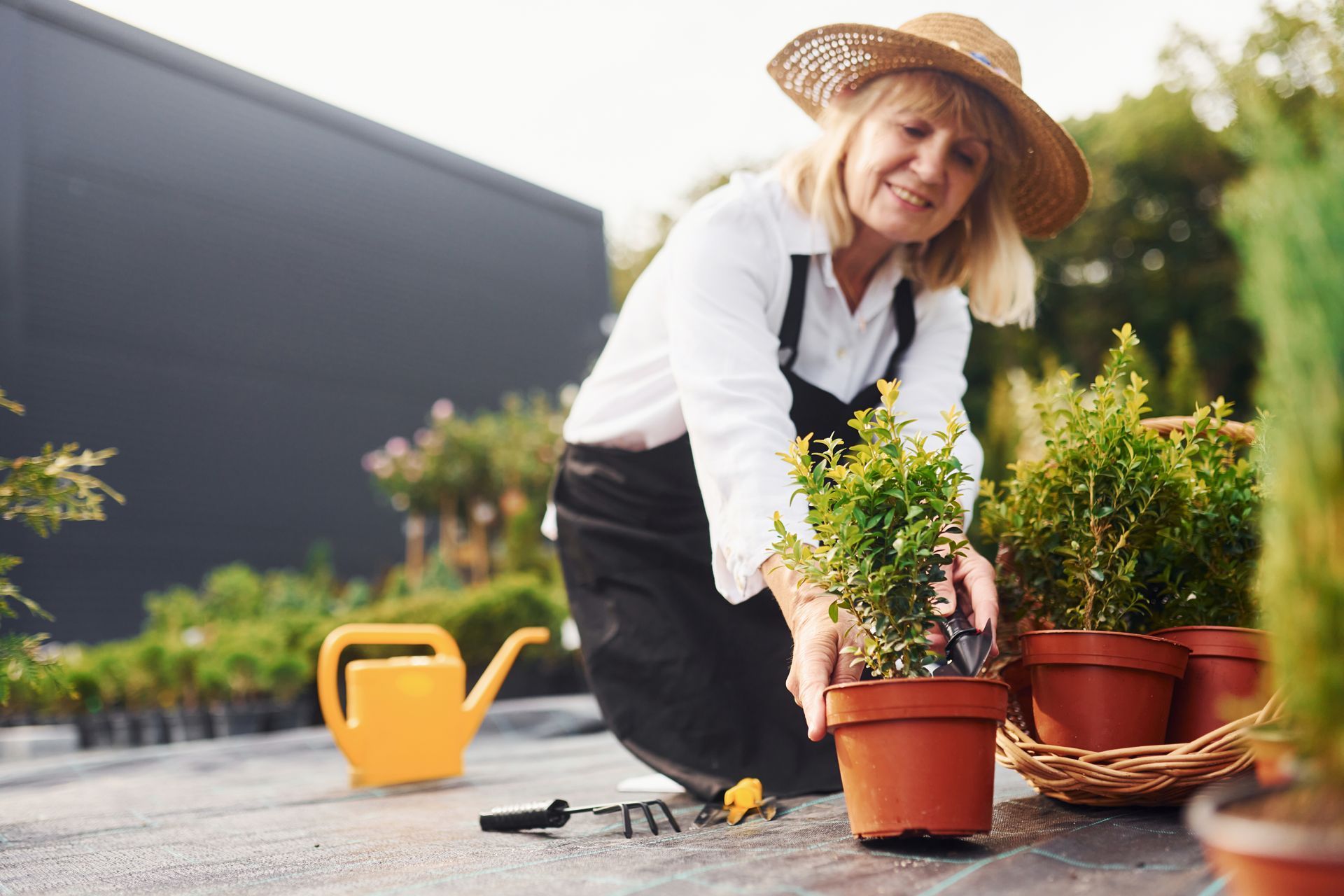 building a garden