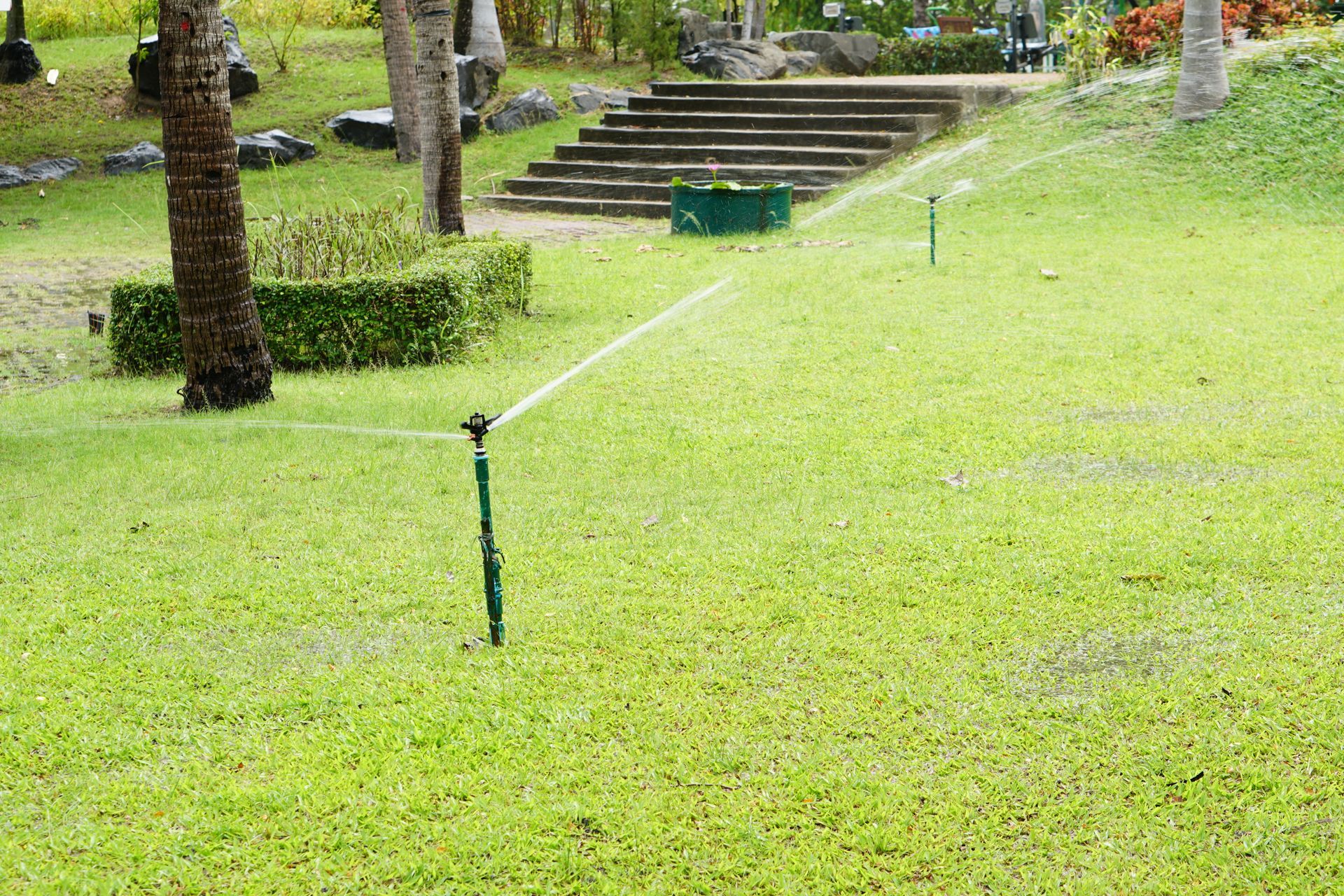 lawn care tips