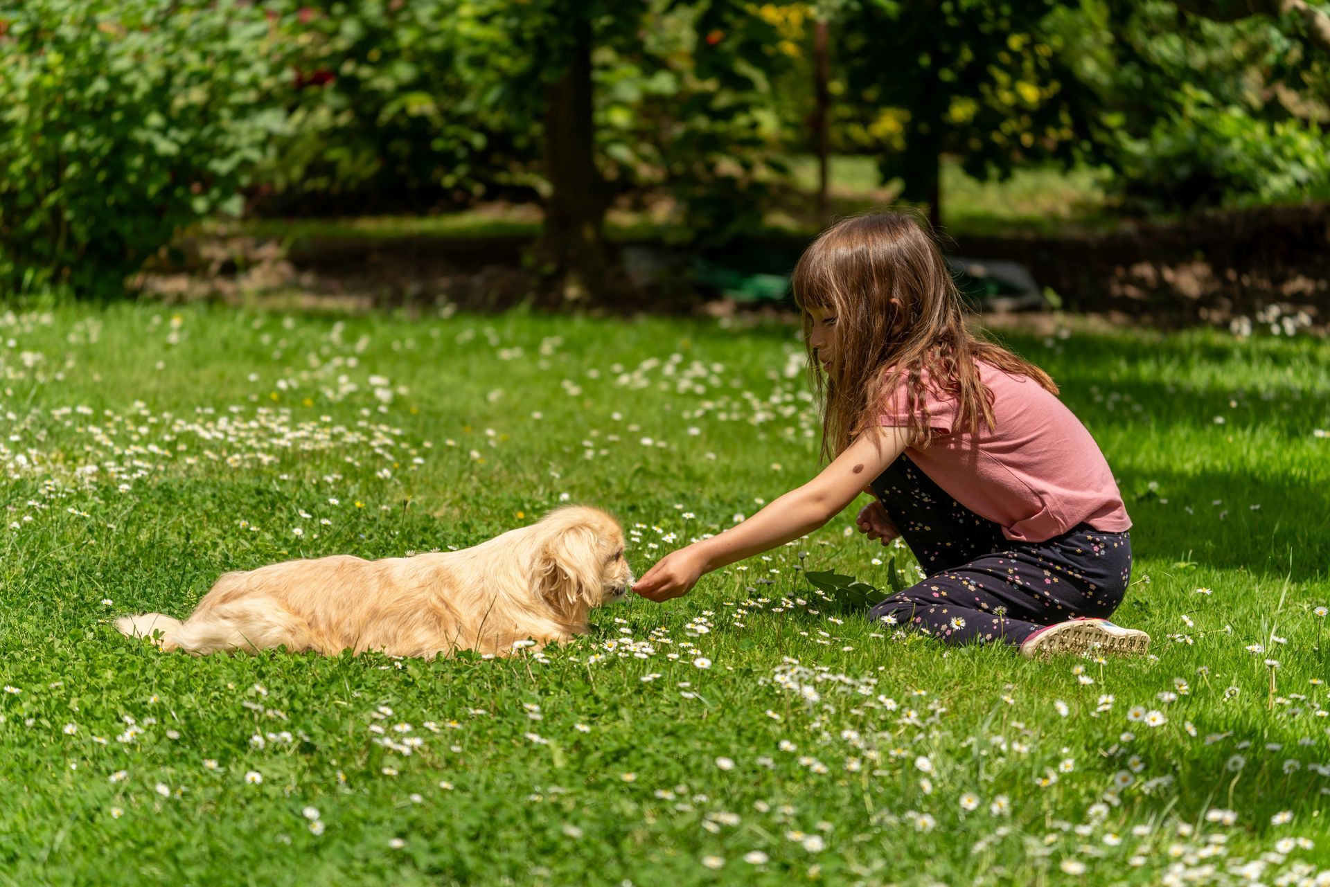 lawn maintenance in ada