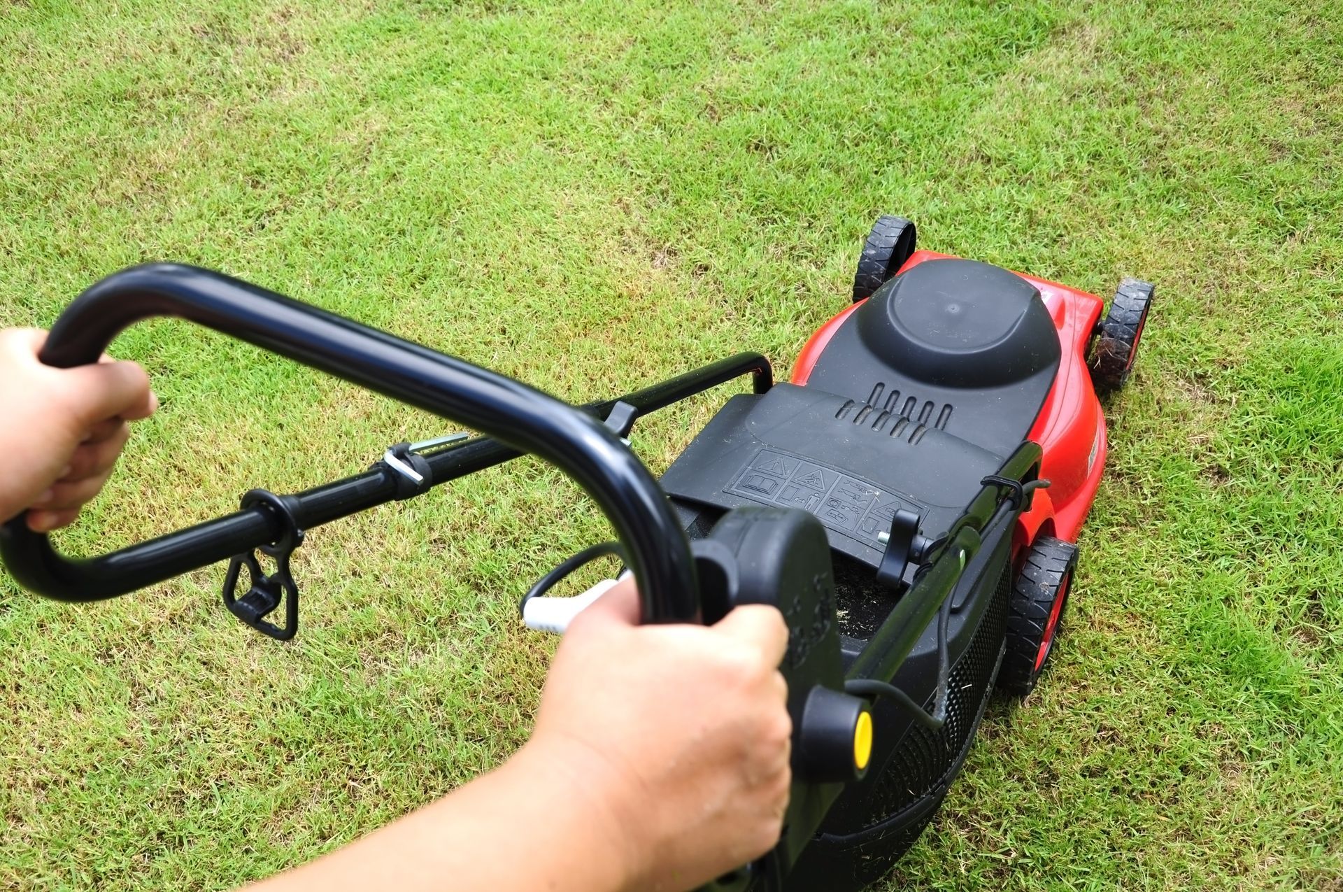 lawn care tips