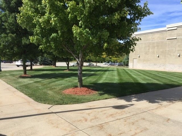 Lawn Care Services in Ada, MI