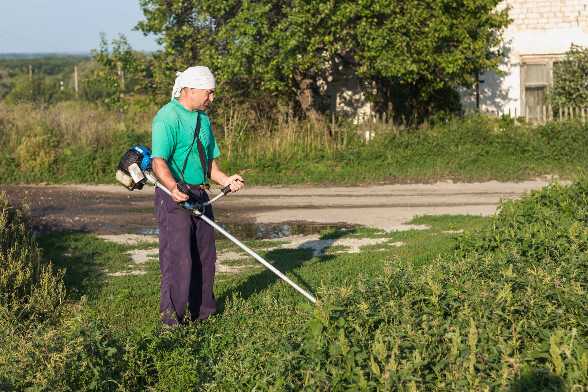 landscaping company in Caledonia, MI