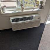 Wall-mounted air conditioner beneath a window in a carpeted room, with small plants on the sill.