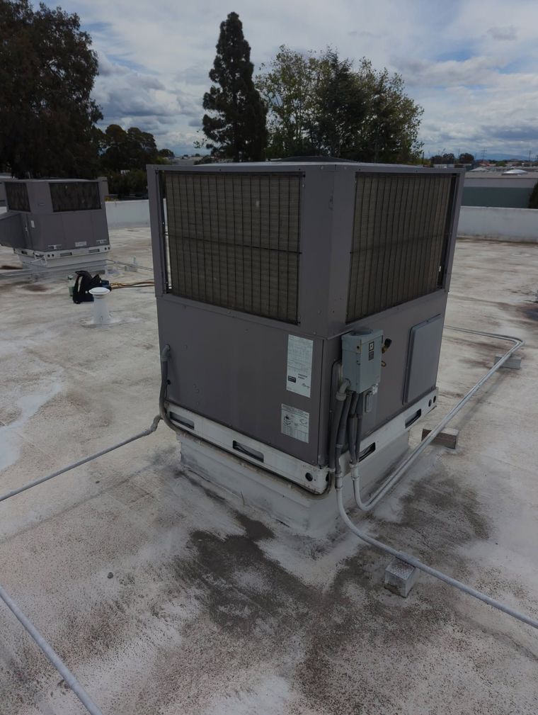 Large rooftop HVAC unit on a flat roof under a cloudy sky, with trees and buildings in the background.