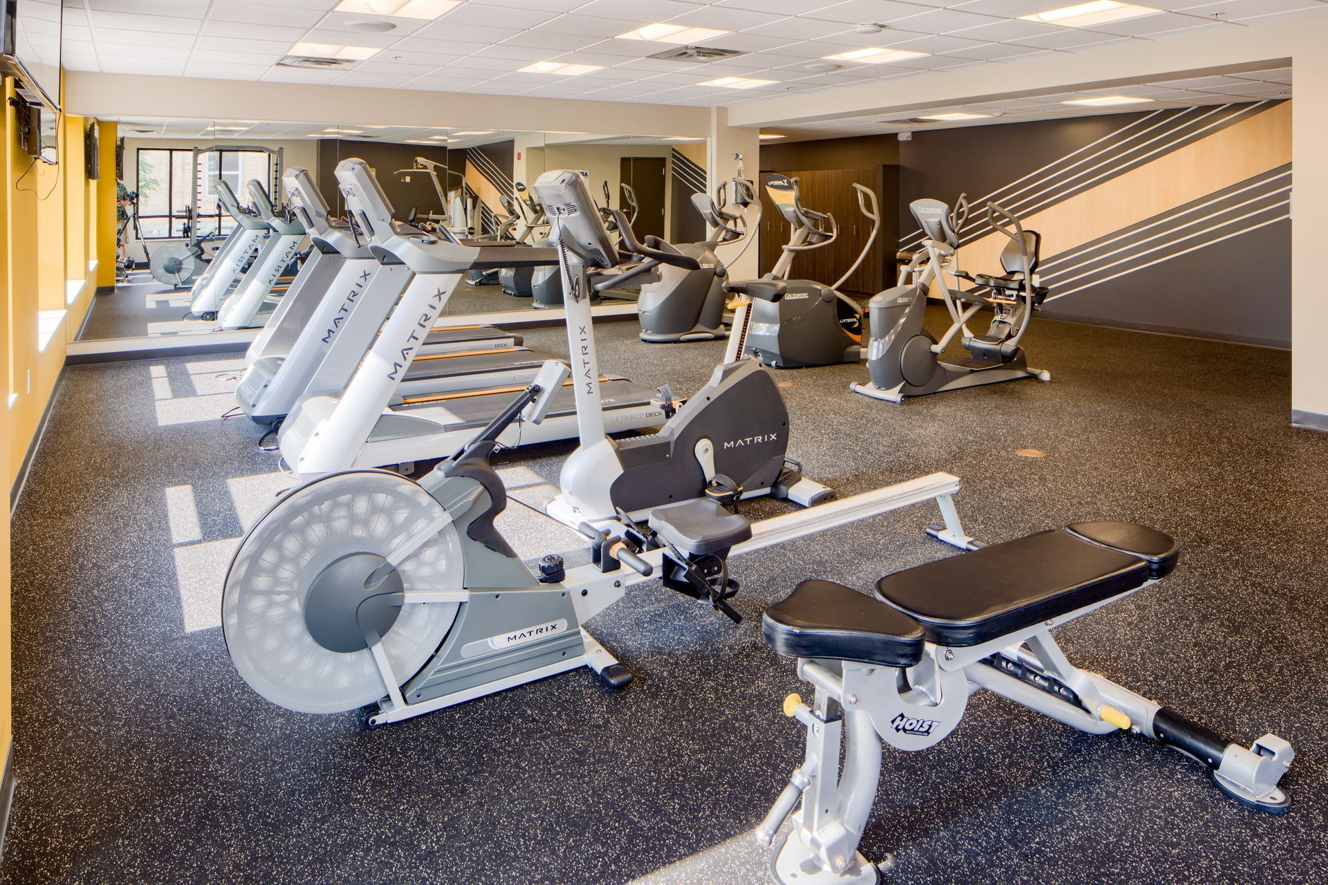 Gym with various exercise machines, including treadmills, ellipticals, rowing machine, and bench.