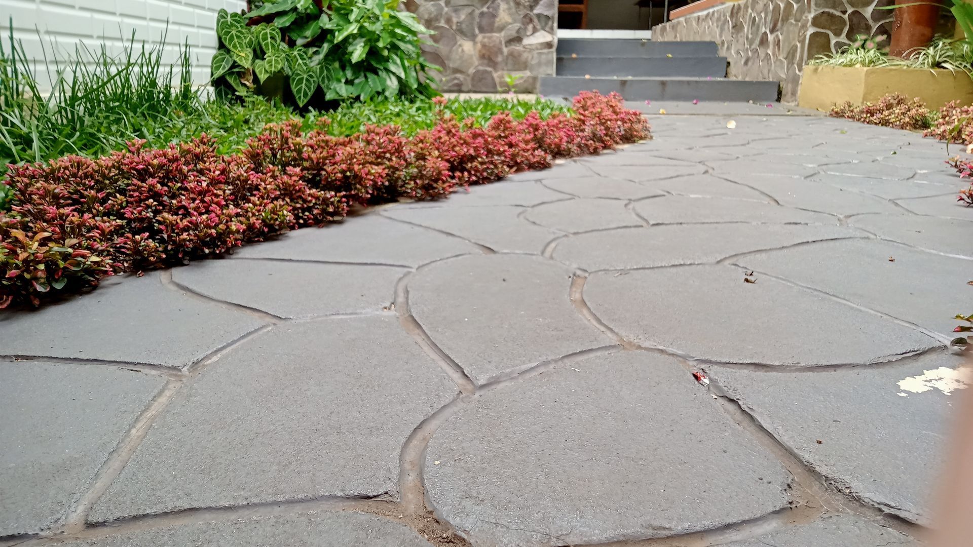 Cracked stone walkway beside red shrubs leading to a house entrance