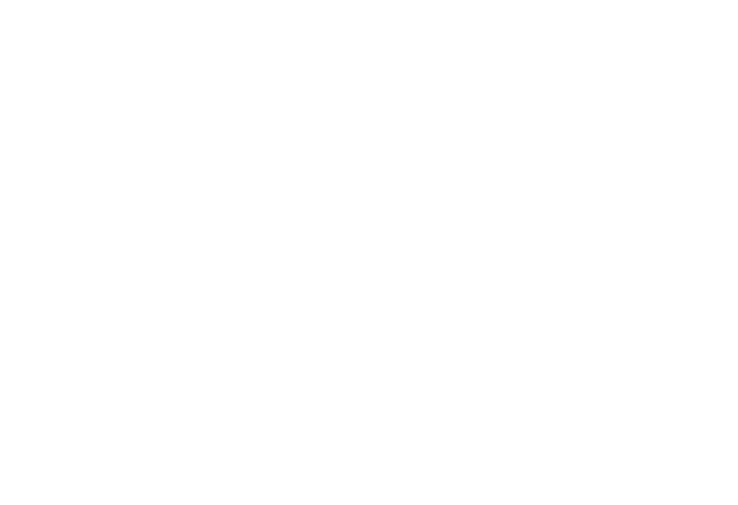 Blank white space.