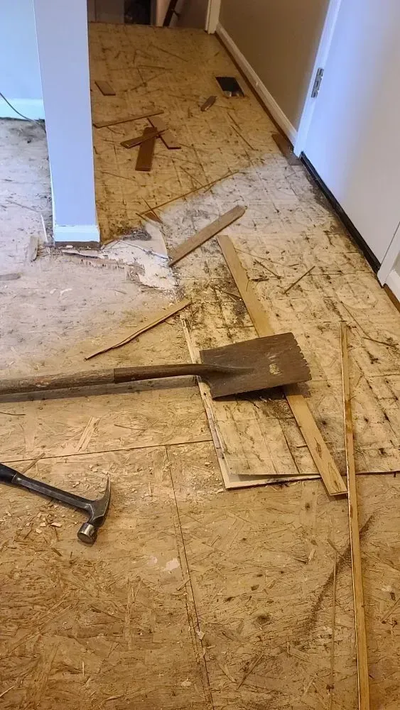 Renovation debris and tools scattered on a stripped wooden floor in a hallway