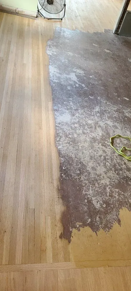 Wooden floor beside a large patch of damaged, peeled-up flooring and subfloor
