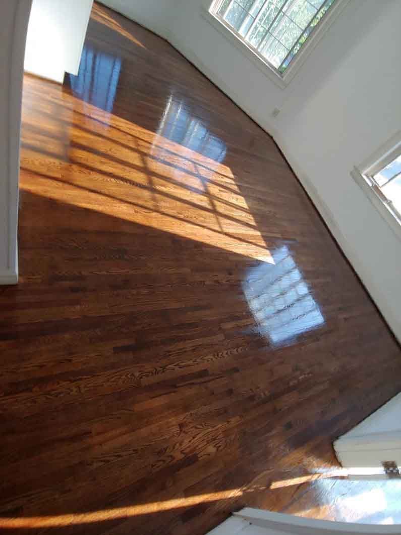 Empty sunlit room with polished hardwood floors and large windows casting shadows