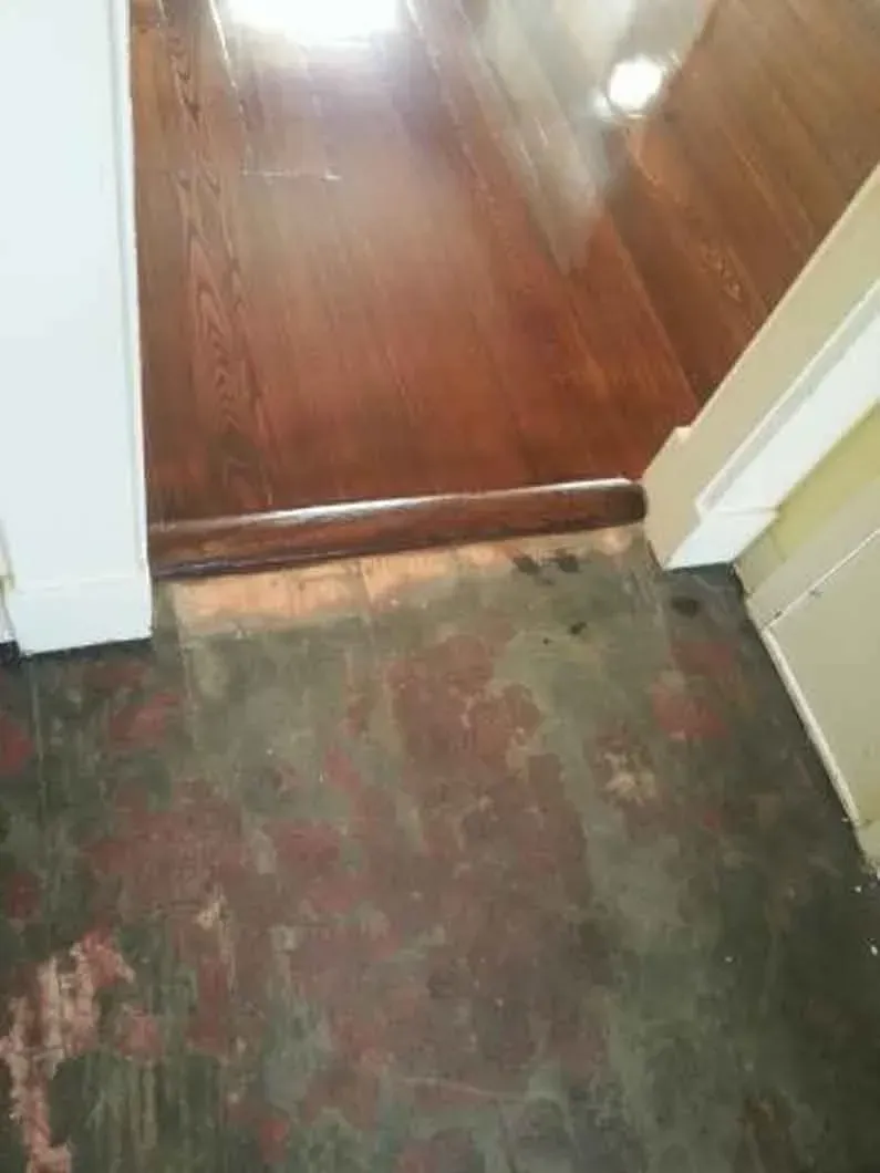 Worn carpet meeting polished wood floor at a doorway threshold