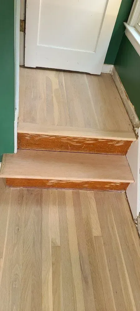 Wooden staircase with two steps leading to a white door in a narrow hallway.