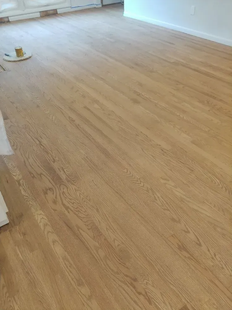 Empty room with light wood flooring and white walls, lit by natural light.