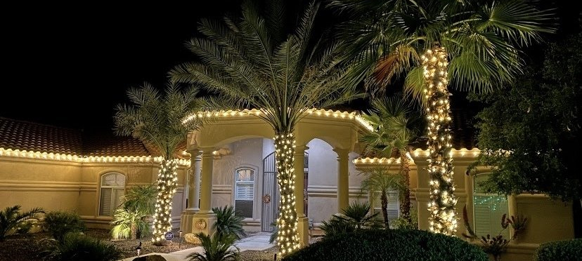 Palm-lined house entrance at night, warmly lit with string lights and illuminated columns.