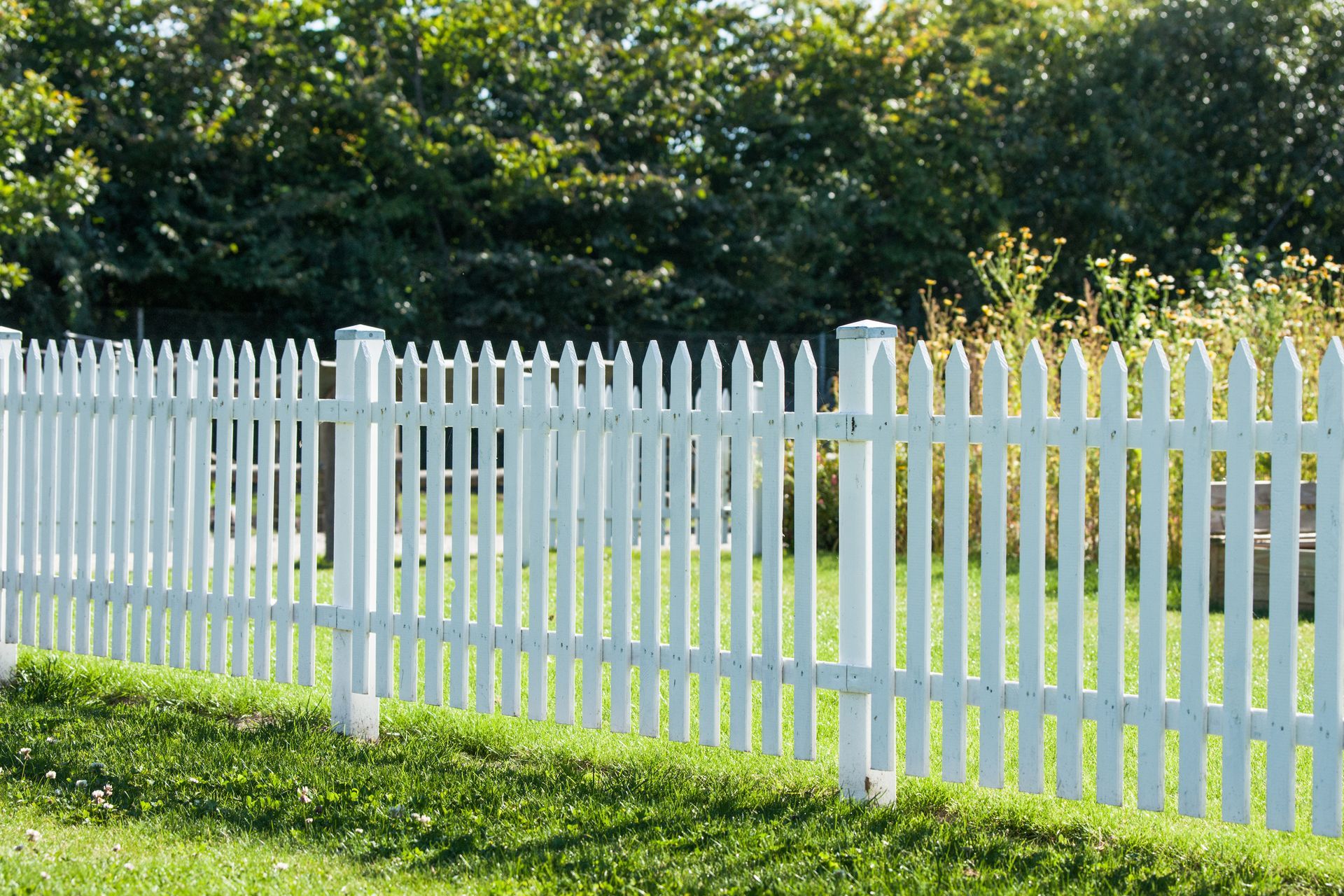 White picket fence along a green lawn with trees in the background