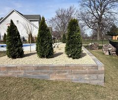Raised garden bed with three evergreen shrubs, white gravel, and a stone border in a backyard.