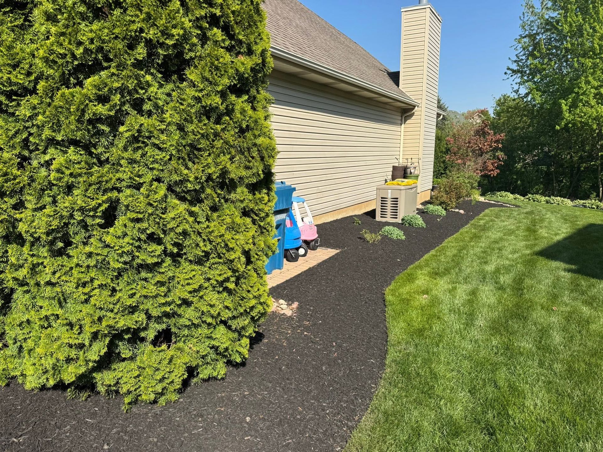 Backyard side yard with mulch bed, evergreen hedge, house wall, chimney, and lawn in bright sun