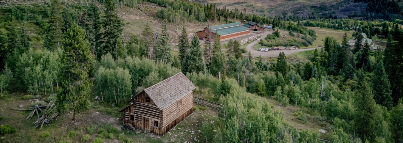 An aerial view of a small house in the middle of a forest.
