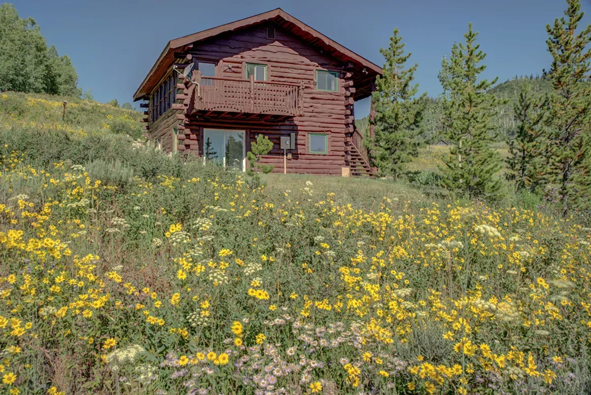 A log cabin is sitting in the middle of a field of flowers.