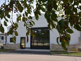 A white building with a large black glass garage door and a side entry, viewed through leafy tree branches with red fruit.