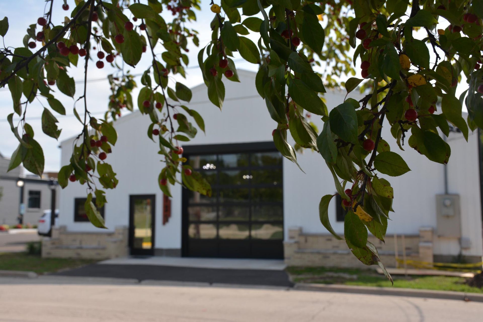 A white commercial building with a large glass garage door and stone accents, partially obscured by tree branches.