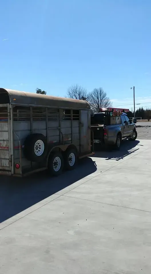 A truck is pulling a horse trailer in a parking lot.