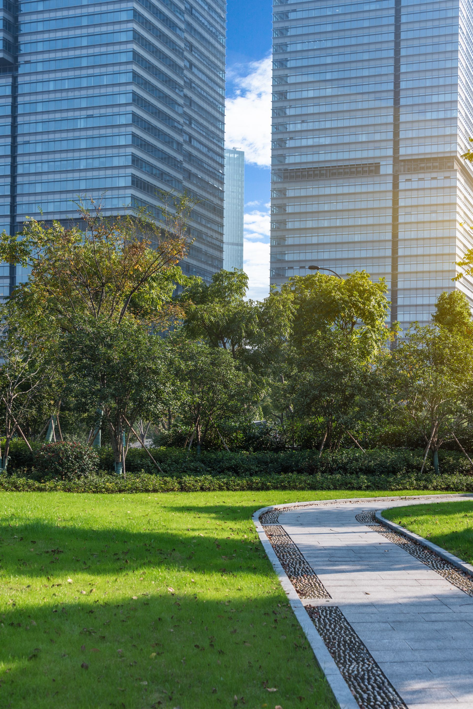 Green park path with trees, leading to modern high-rise buildings on a sunny day.
