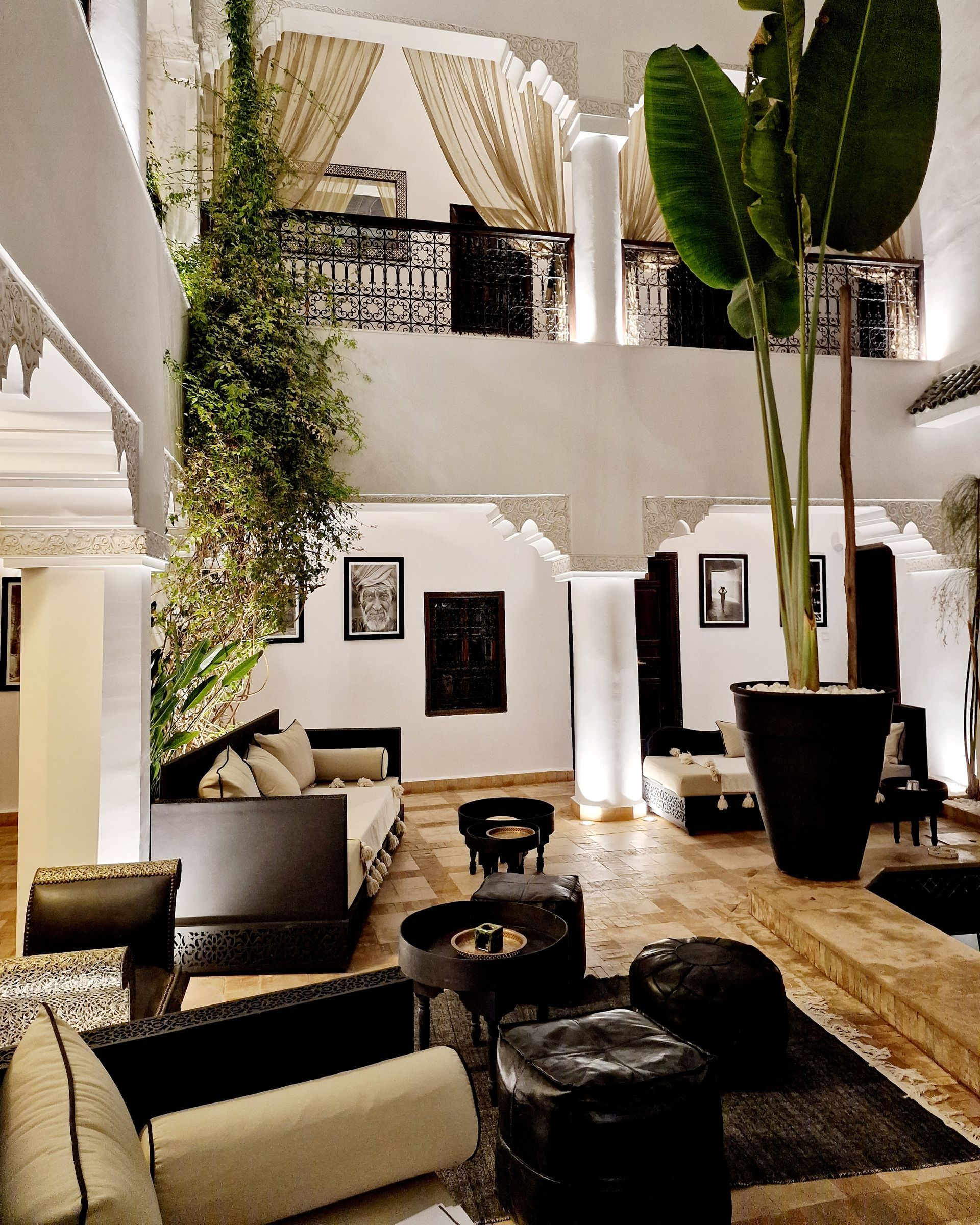 Salon intérieur élégant avec murs blancs, meubles noirs et grandes plantes en pot baignées d'une lumière chaude