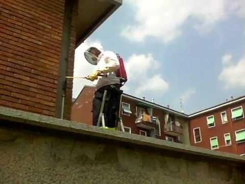 Disinfestazione esterna