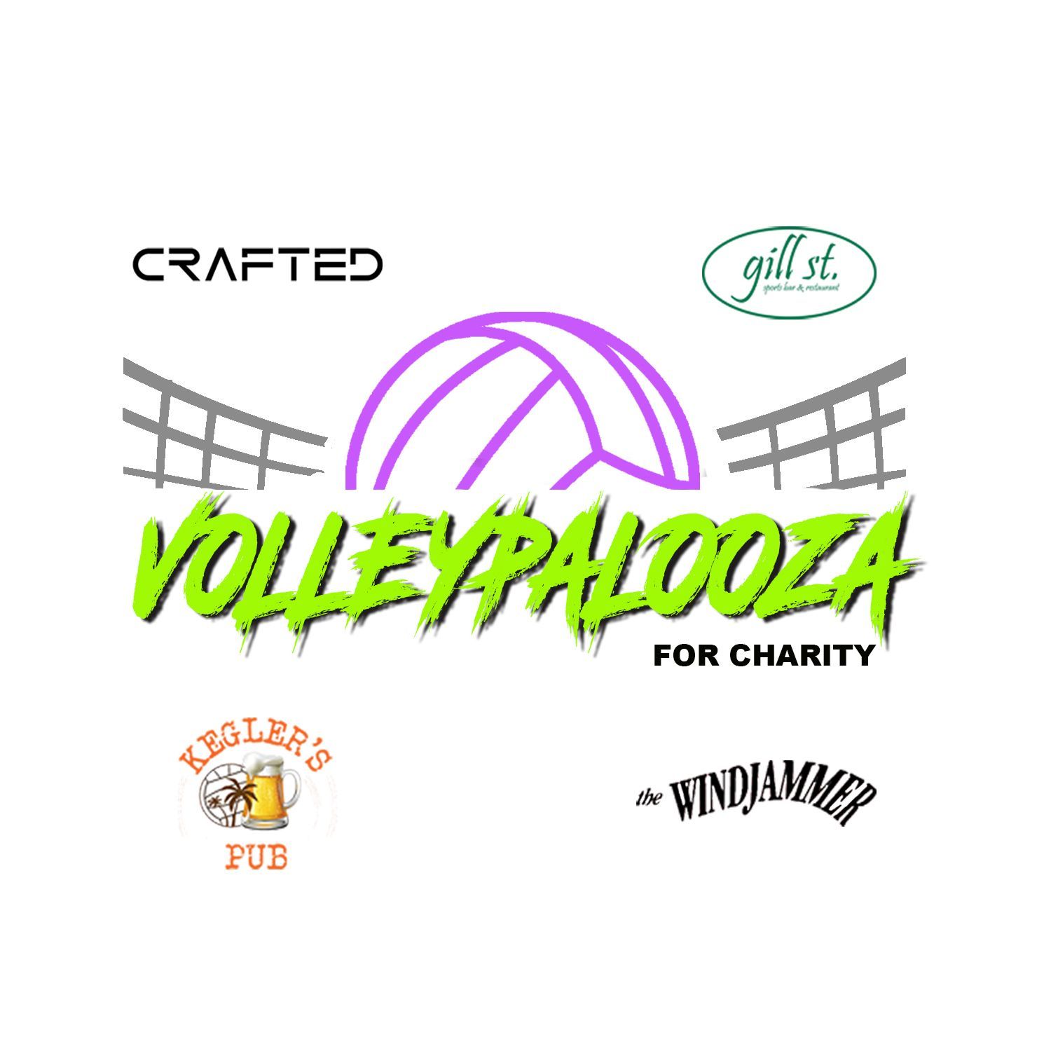 A logo for volleyballpalooza for charity