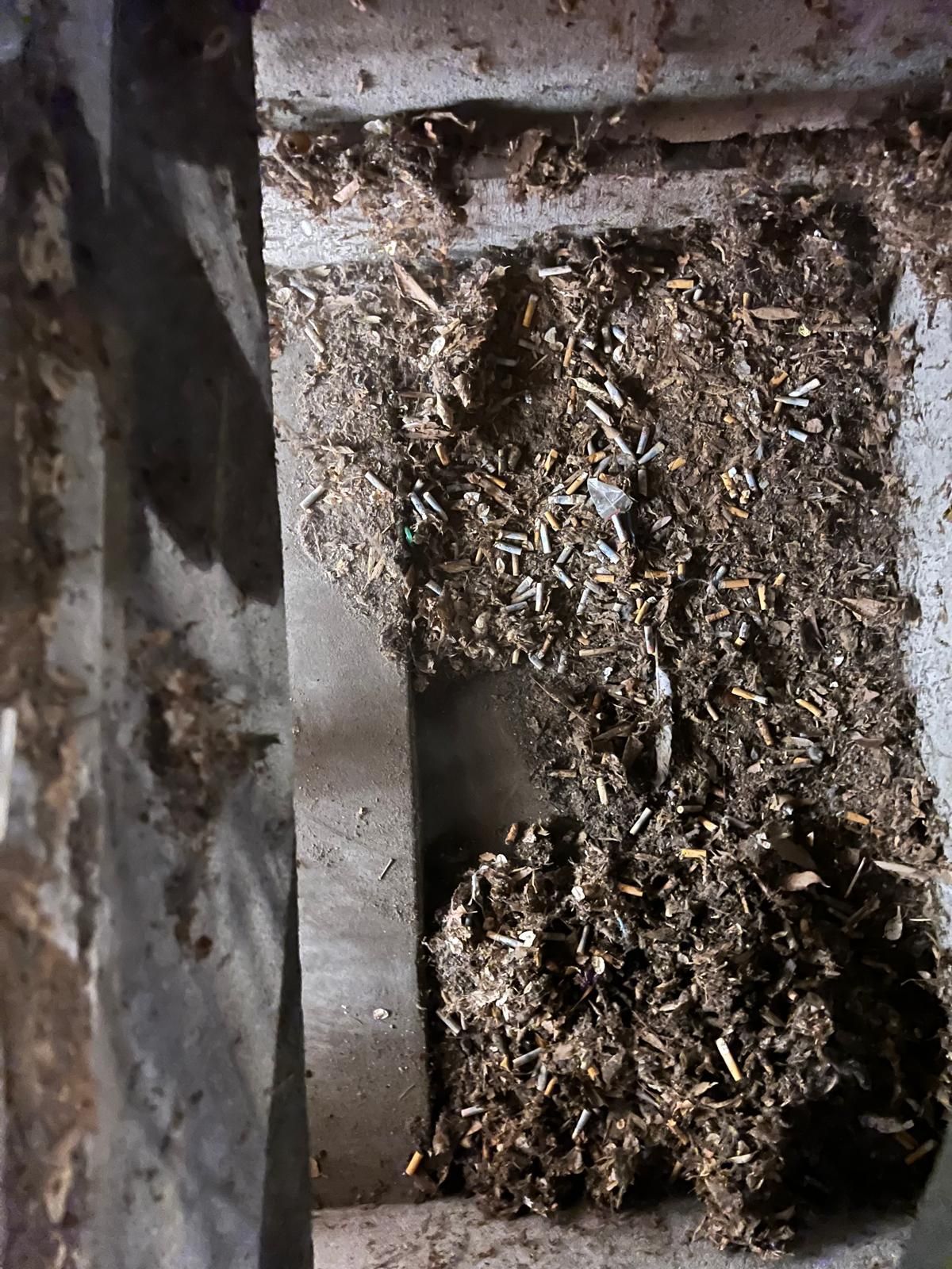 Un tas de terre est posé sur une surface en béton.