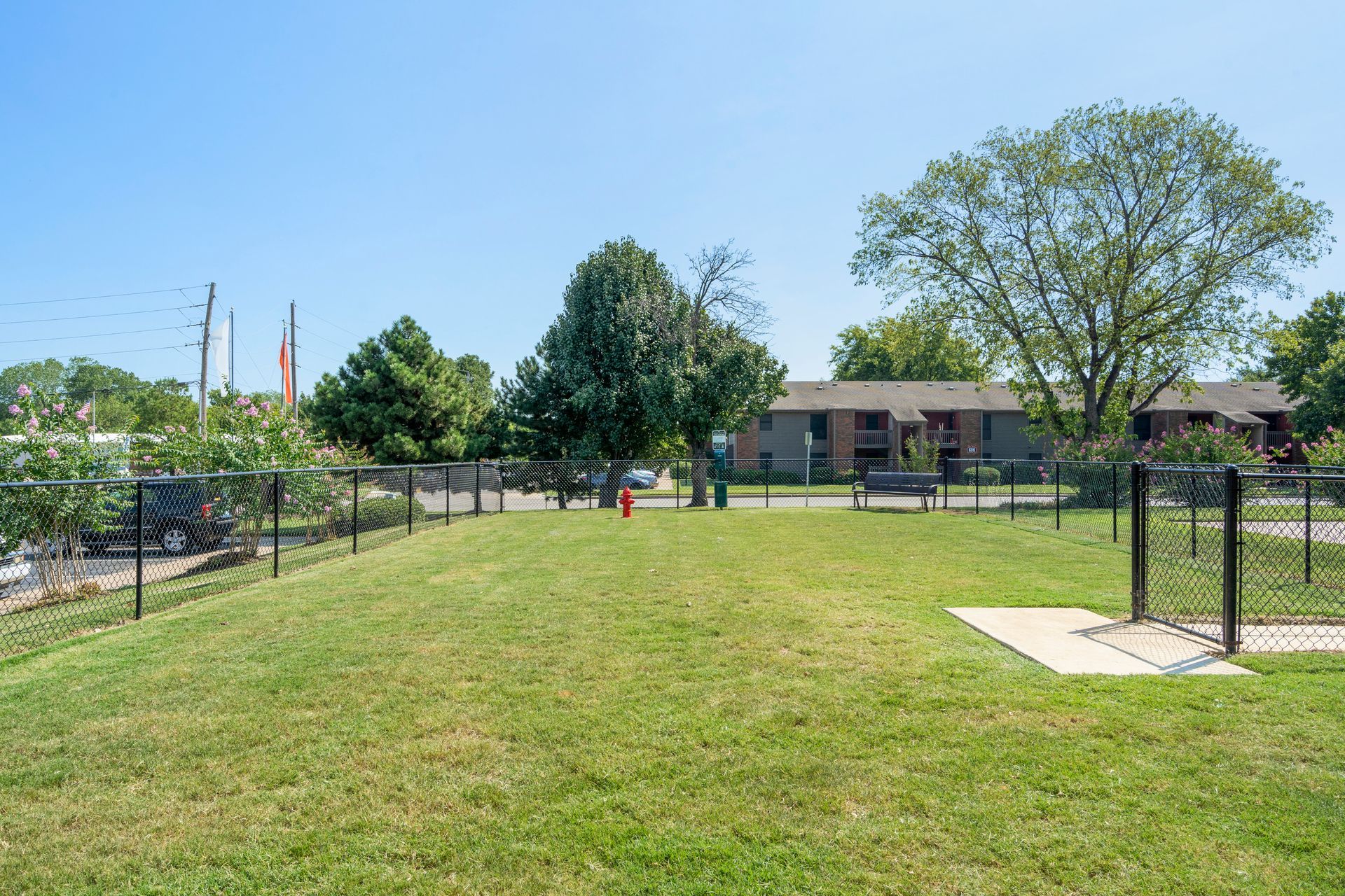dog park 1
