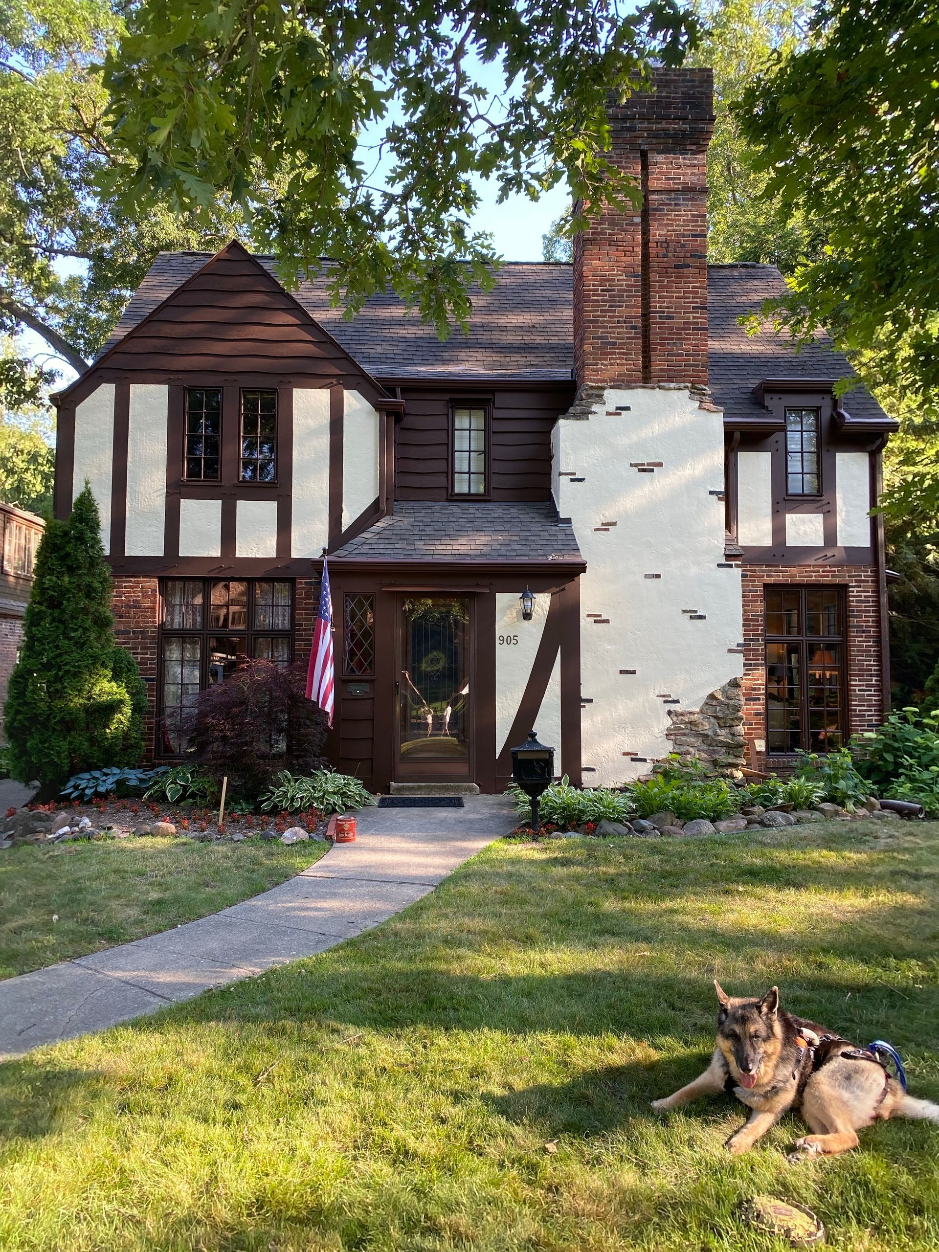 A dog is laying in the grass in front of a house.